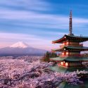 Tokyo Tokyo