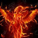 Phoenix Phoenix
